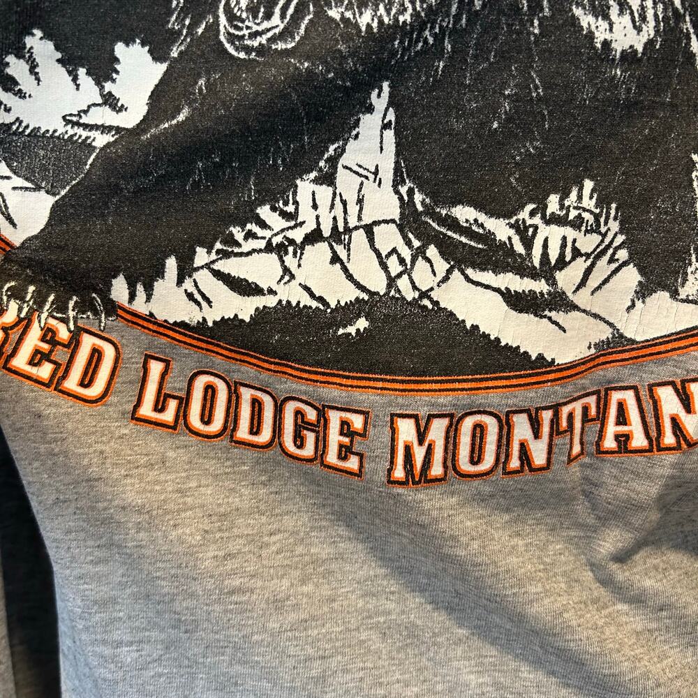 Harley-Davidson Y2K Beartooth Montana Flame Long Sleeve Tee Cowboy Core S - Picture 15 of 16